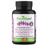 Glucosamine Chondroitin MSM Complex
